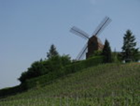 Le Moulin de Verzenay