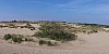 dunes409.jpg