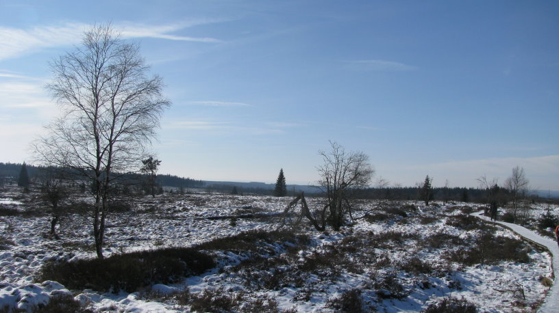 fagnes1222.jpg