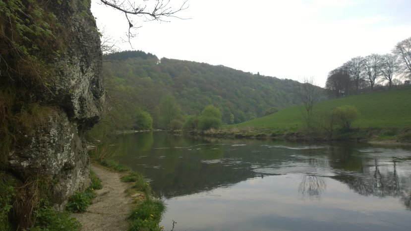 bouillon20094659.jpg