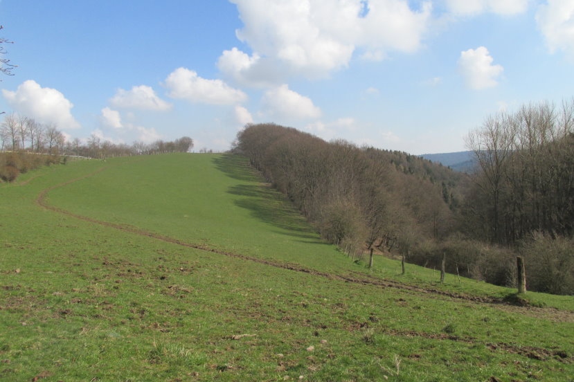 eifel0494.jpg