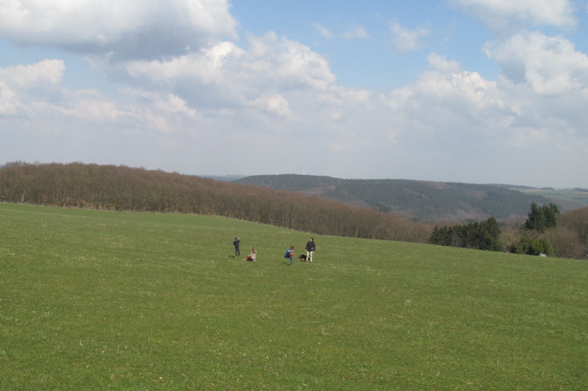 eifel0499.jpg