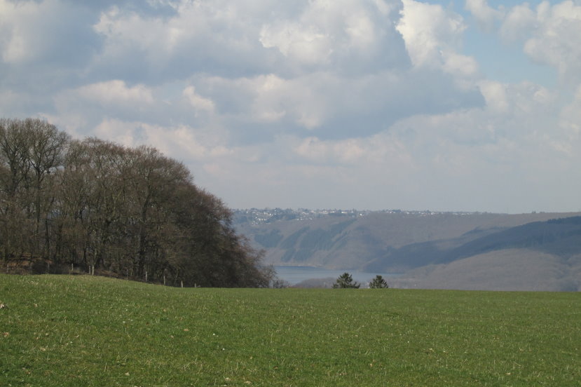 eifel0501.jpg