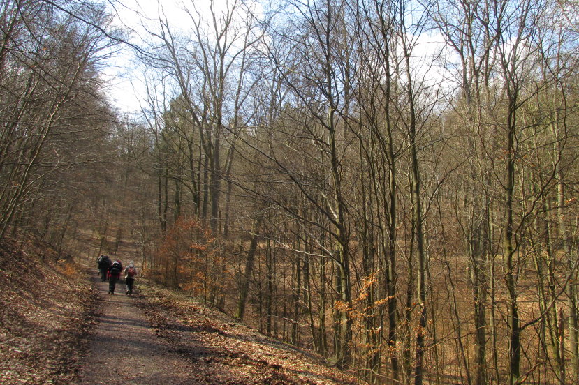 eifel0509.jpg