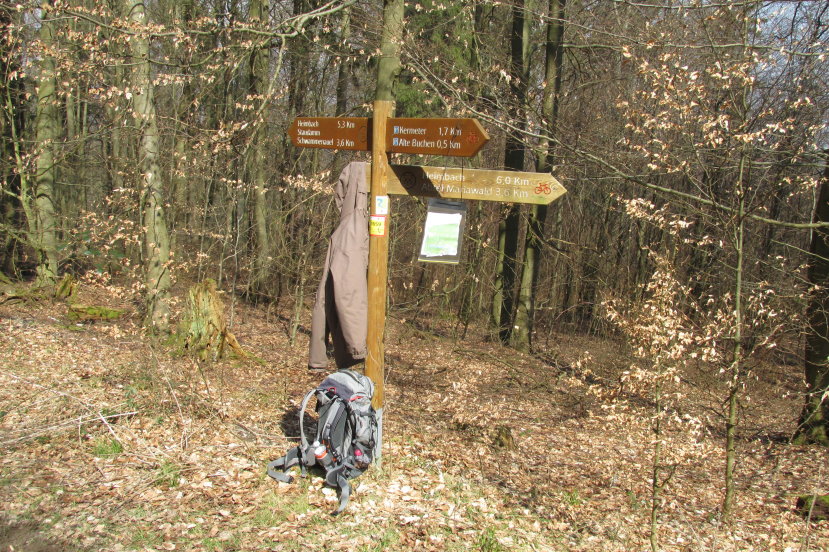 eifel0510.jpg