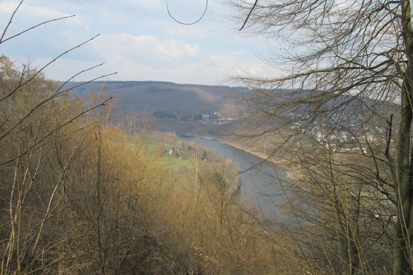 eifel0511.jpg