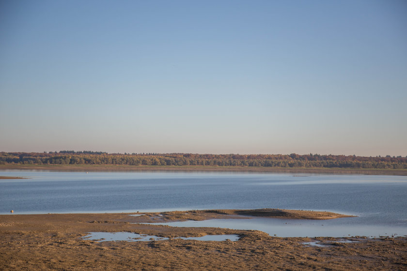 ornithologie7541_hdr.jpg