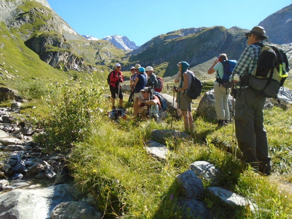 vanoise05315.jpg