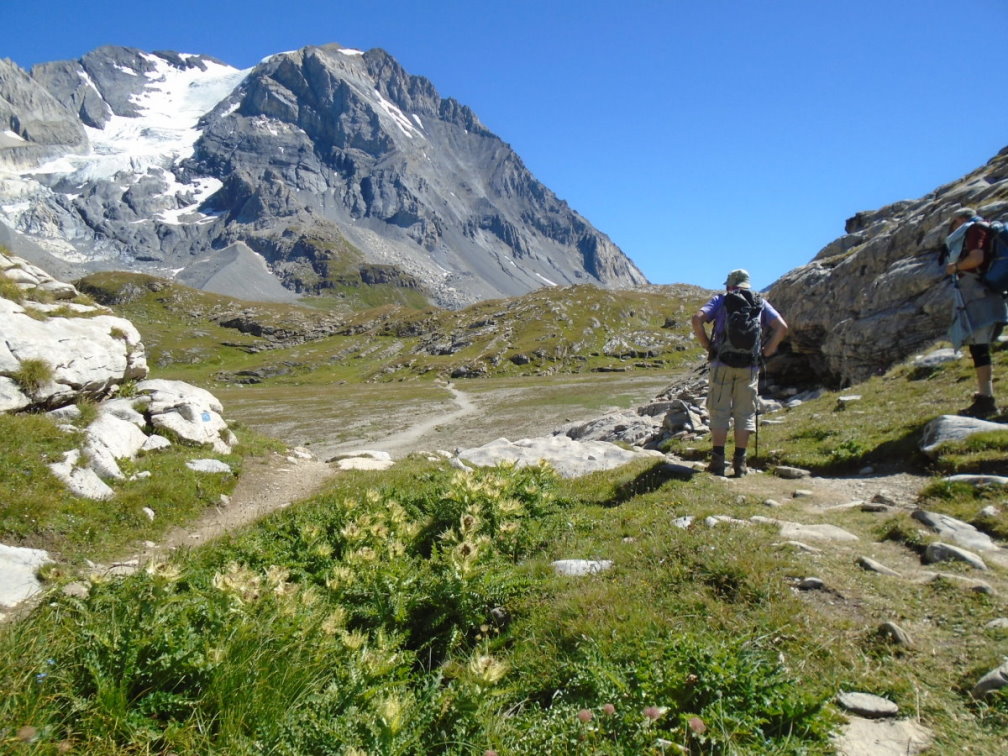 vanoise05325.jpg