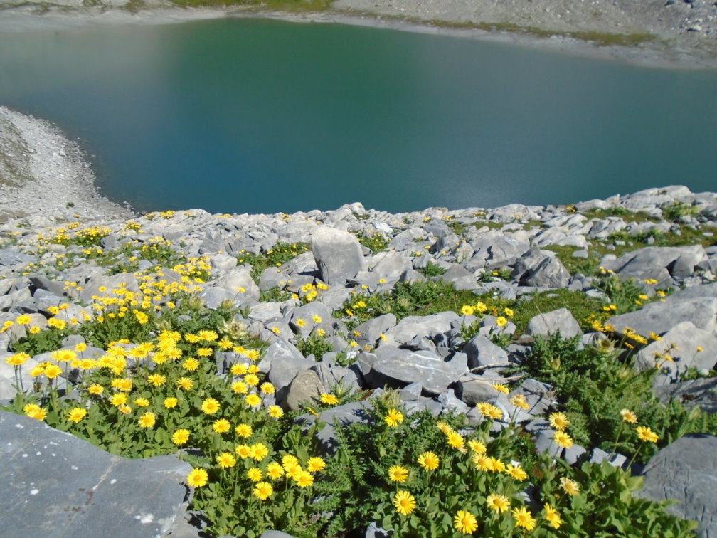 vanoise05340.jpg