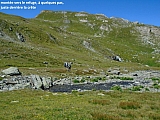 vanoise05412.jpg