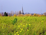 Sint-Pieter-Leeuw