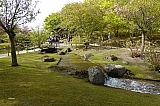 jardin_japonais8925.jpg