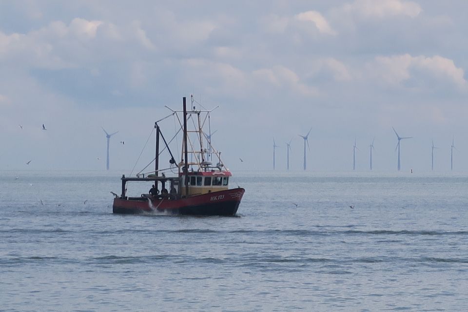 enkhuizen3912.jpg