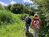 Dans les marais de Jette-Ganshoren