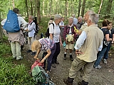 foretsoignes0874.jpg