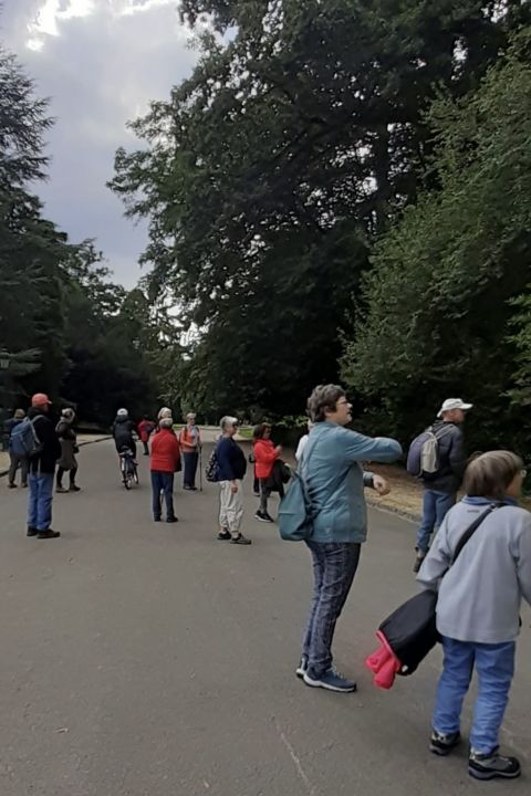 parcdewoluwe9.jpg