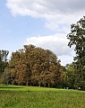 parcdewoluwe7.jpg