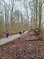 laarbeekbos0014.jpg