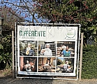 nederOverHeembeek0158.jpg