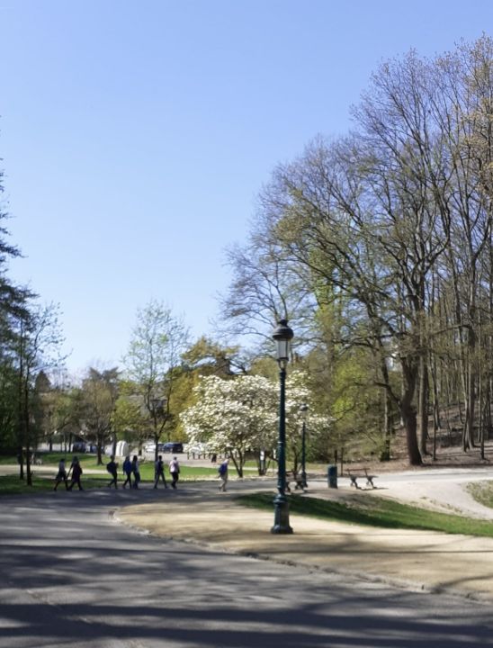 parcWoluwe04.jpg