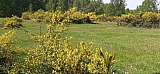 hal130741.jpg
