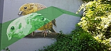hal153457.jpg