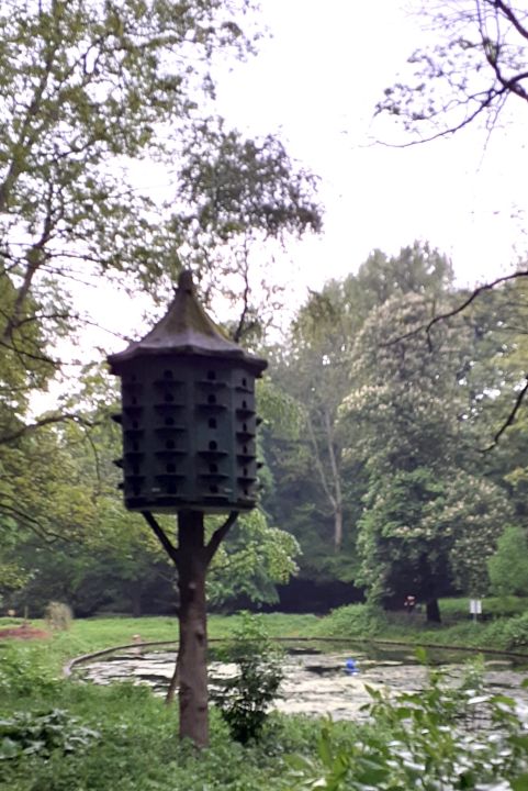 schaerbeek1024.jpg