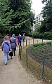 schaerbeek1017.jpg